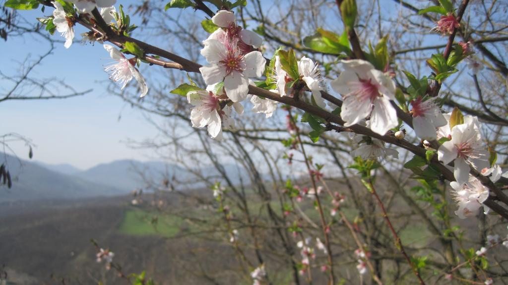Il Mio Rifugio Vendégház Gaggio Montano Kültér fotó