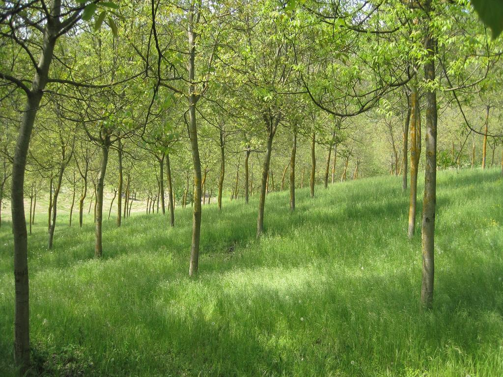 Il Mio Rifugio Vendégház Gaggio Montano Kültér fotó
