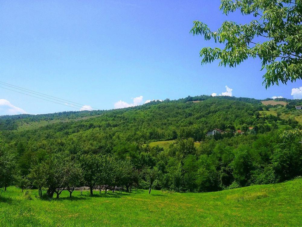 Il Mio Rifugio Vendégház Gaggio Montano Kültér fotó